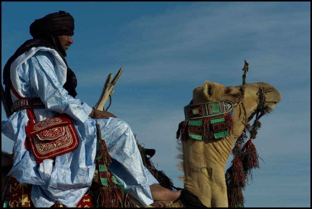 Touareg et chameau en tenue de fête