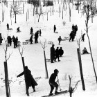 Enfants faisant du ski et de la luge