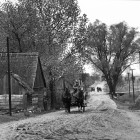 dans la région de Bialystok