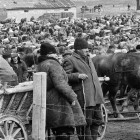 Marché aux chevaux à Dabrowa Bialostocka